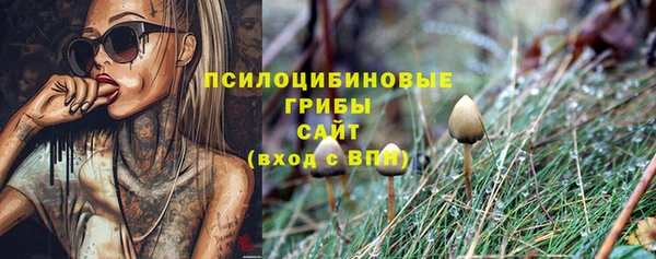 спиды Баксан