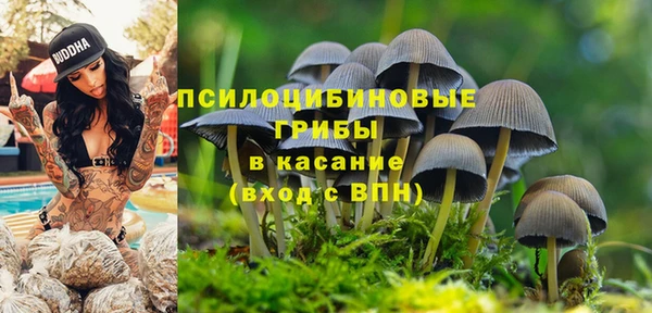 МДПВ Балахна