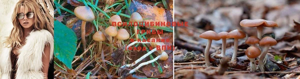 МДПВ Балахна
